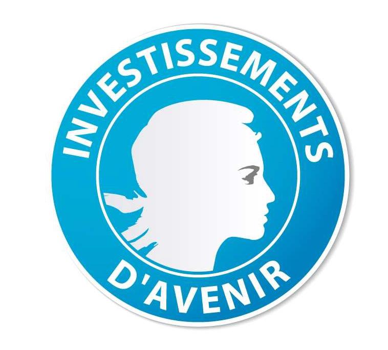 http://www.greenunivers.com/wp-content/uploads/2013/01/investissement-davenir.jpeg