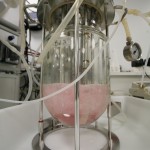 Fermenteur de laboratoire (2)