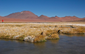 Le désert d'Atacama, au Chili. (Crédit : Danielle Pereire, Flickr)