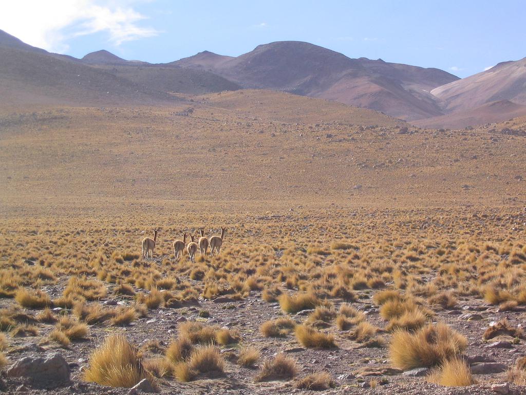 Le désert d'Atacama, au Chili. (Crédit : Flickr/Robin Fernandes)