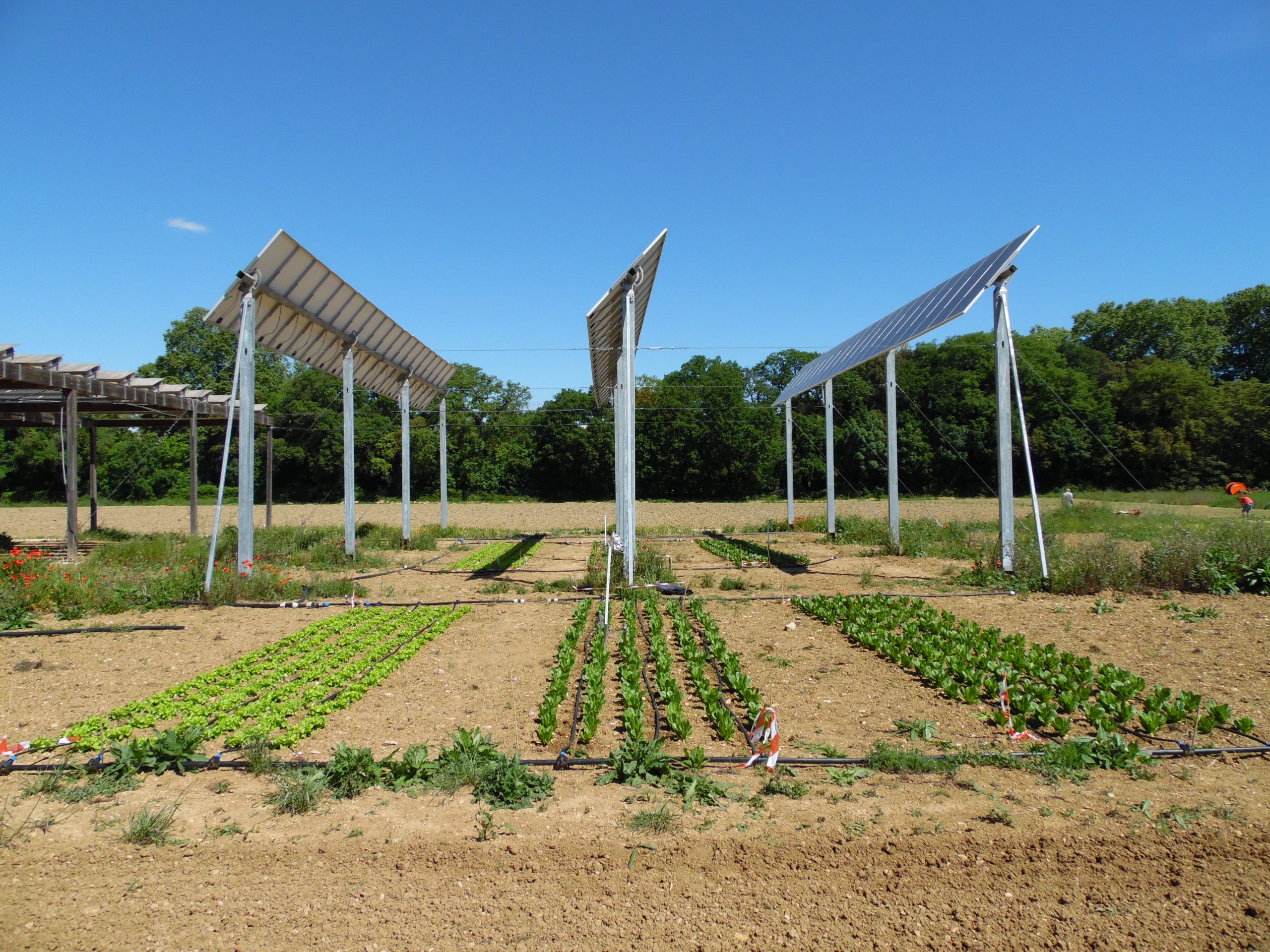 La Nouvelle-Aquitaine soutient l’agri-solaire et l’hydrogène