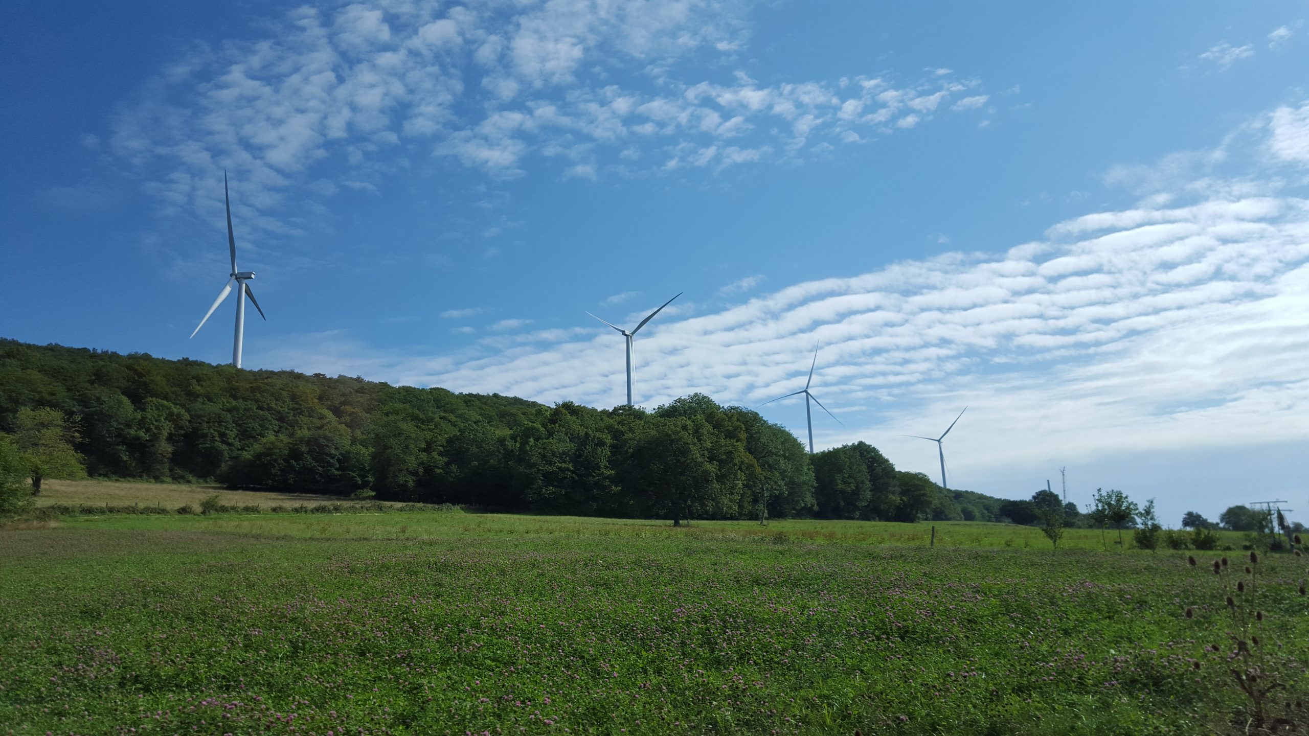 Velocita, bras armé de Riverstone en France, plante ses premières éoliennes