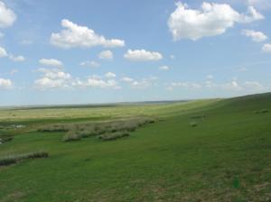 prairie mongole