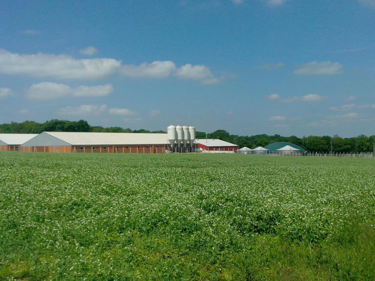 Evergaz reprend l’activité biogaz d’Albioma