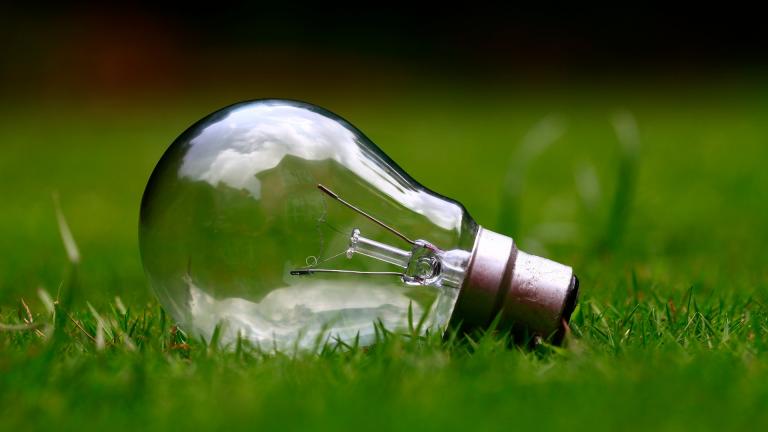 Le futur achat groupé Selectra-WWF France veut doper l’électricité verte premium mais bon marché