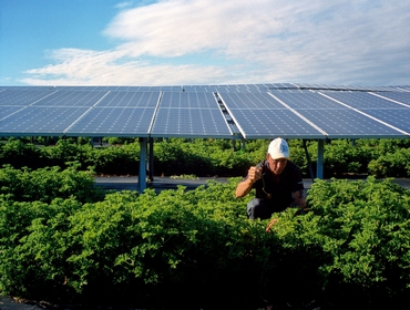 Akuo convainc la Maif d’investir 50 M€ dans l’agriculture solaire
