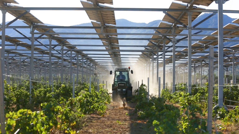 France Agrivoltaïsme sonne l’alarme jusqu&rsquo;à l&rsquo;Elysée
