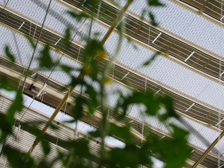 Solar Cloth pose ses tissus solaires sur les serres agricoles