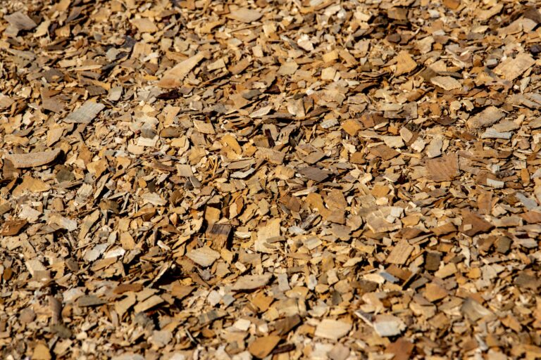 Biomasse : le Conseil d’État retire à Gardanne l’autorisation d’exploiter