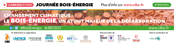 Journée Bois-Énergie - 6 juin à Paris