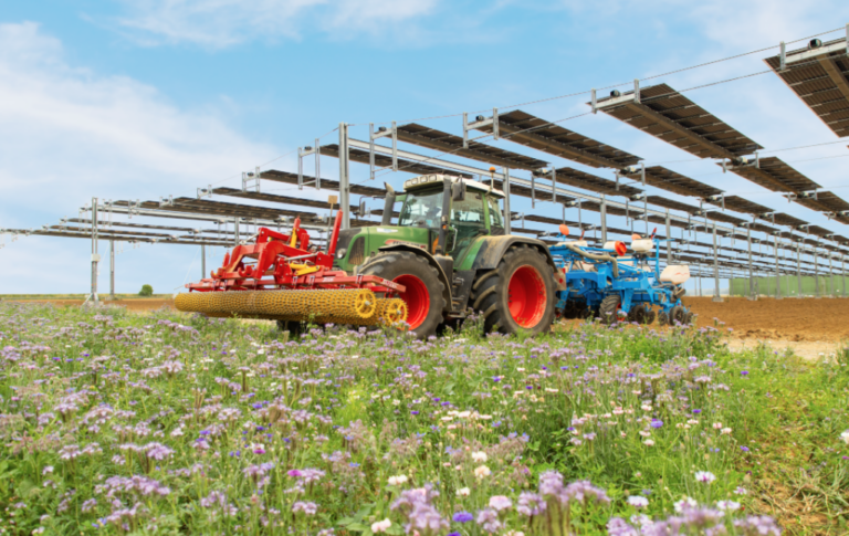 Agrivoltaïsme : TSE obtient 11 M€ auprès de BPCE Energéco