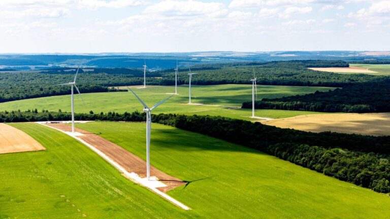 Eolien : EDF Power Solutions domine par le nombre de projets autorisés en 2025 [Wattabase]