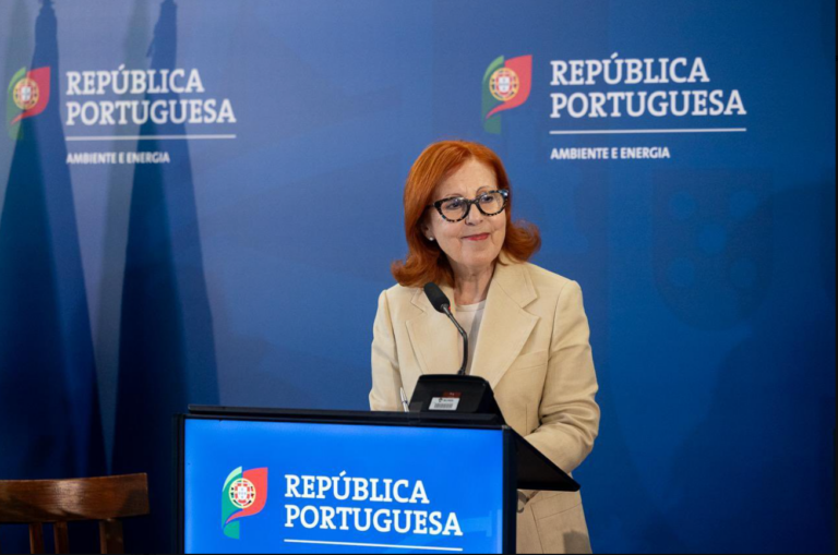 Le Portugal veut lancer un appel d&rsquo;offres dédié aux batteries en 2026