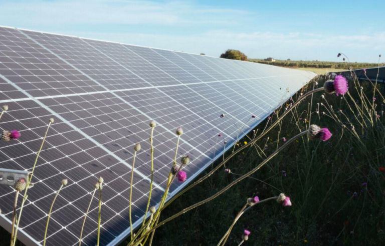 Solaire : Urbasolar décroche le premier PPA du ministère des Armées