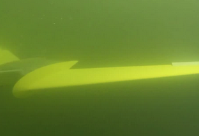 Porpoise Power s&rsquo;inspire des dauphins pour son électricité marémotrice [Innovation]