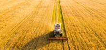 AGRICULTURE